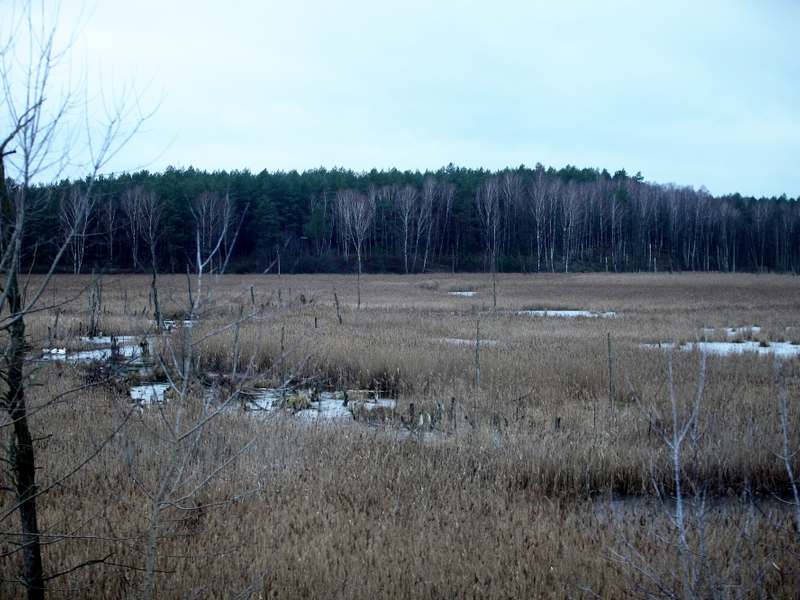 Moorlandschaft - Foto: ?ber dts Nachrichtenagentur