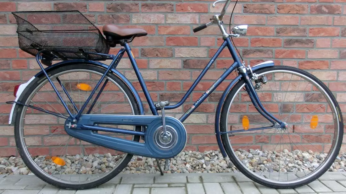POL-GÖ: (114/2024) Diebstahl am helllichten Tag - Markantes rotes Fahrrad vor Wohnhaus in der Elbinger Straße gestohlen - Bild: presseportal.de