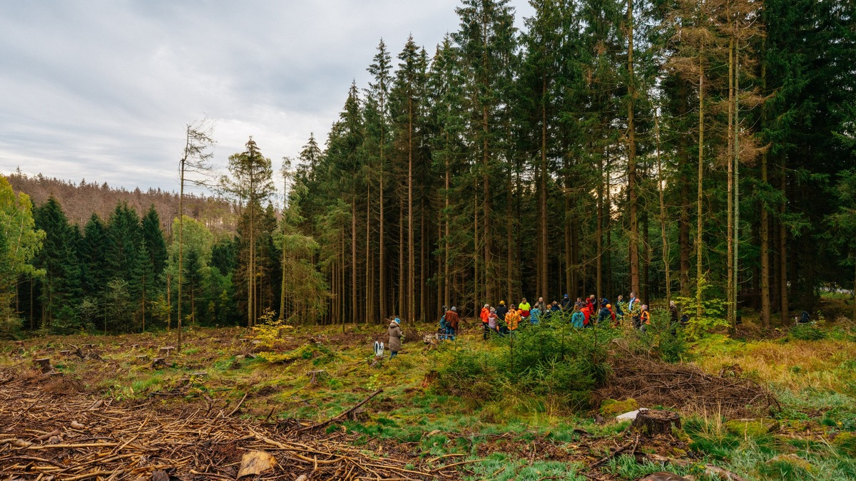 HZA-SB: Zoll und Polizei decken mutmaßliche illegale Beschäftigung im Kreis Kaiserslautern auf; Mehrere Personen ohne gültige Aufenthaltspapiere bei Kontrolle in Nagelstudio angetroffen - Foto: presseportal.de