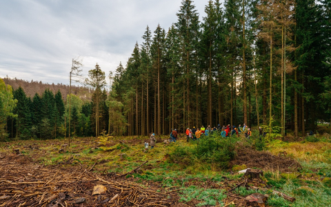 HZA-DD: Tausende Zigaretten in der Kühltruhe transportiert / Ausflug mit Enkeln endet im Steuerstrafverfahren - Foto: presseportal.de