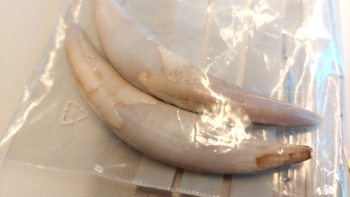 POL-STD: Einbrecher dringen gleich zweimal in Verkaufswagen am Lühe-Anleger ein, Unbekannter entwendet Tasche mit Papieren und Bargeld aus Rettungswagen, Autokran kommt beim Ausweichen von der Straße ab - Foto: presseportal.de