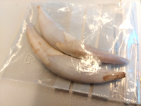 POL-PDTR: Sachbeschädigung an zwei Fahrzeugen - Polizei bittet um Hinweise - Foto: presseportal.de