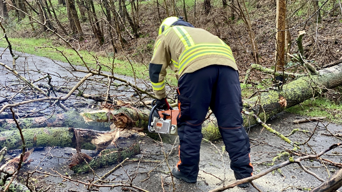 FW Alpen: Ast ragte auf Gehweg - Foto: presseportal.de