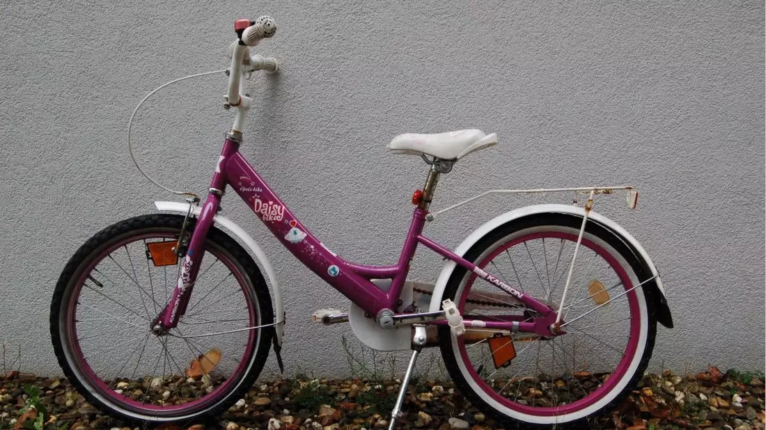 POL-NI: Fundfahrrad sucht Eigentümer - Bild: presseportal.de