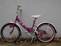 POL-PDLD: Offensichtlich gestohlenes Fahrrad sichergestellt - Foto: presseportal.de