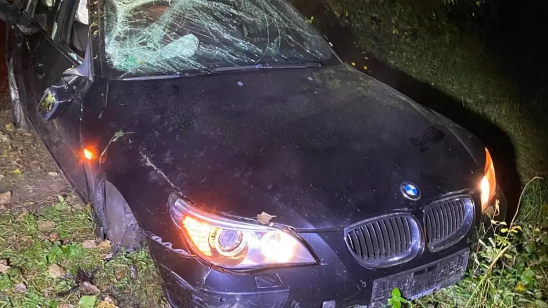 POL-PDLU: Unfall unter Drogeneinfluss, Auto brennt aus in Waldsee - Bild: presseportal.de