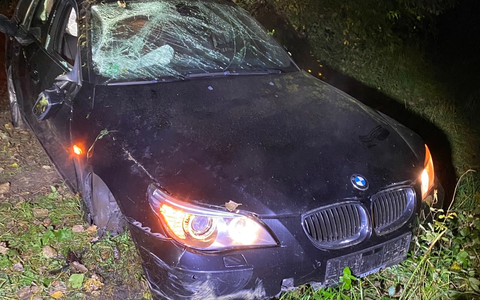 POL-PDLU: Unfall unter Drogeneinfluss, Auto brennt aus in Waldsee - Foto: presseportal.de