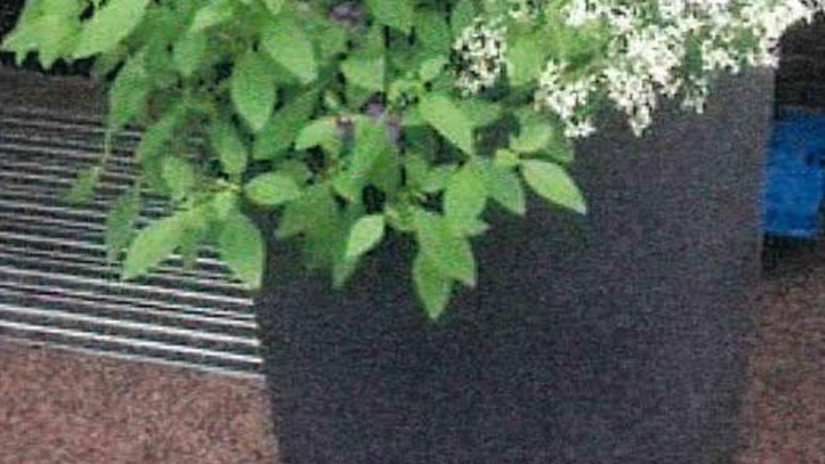 POL-DA: Büttelborn: Leon-Hilfe-Inseln in allen Ortsteilen von Büttelborn/ Offizielle Einführung bei Kindertag in Worfelden. - Foto: presseportal.de