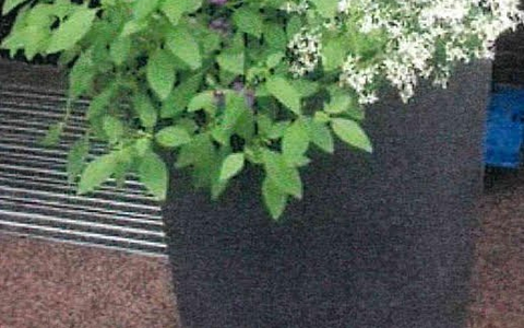 HZA-IZ: Weihnachten und Black Friday / Wichtige Hinweise des Zolls zu Bestellungen und Geschenken aus dem Ausland - Foto: presseportal.de