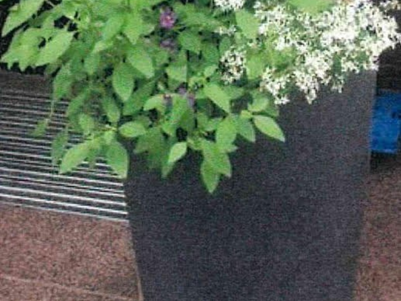 HZA-IZ: Weihnachten und Black Friday / Wichtige Hinweise des Zolls zu Bestellungen und Geschenken aus dem Ausland - Foto: presseportal.de