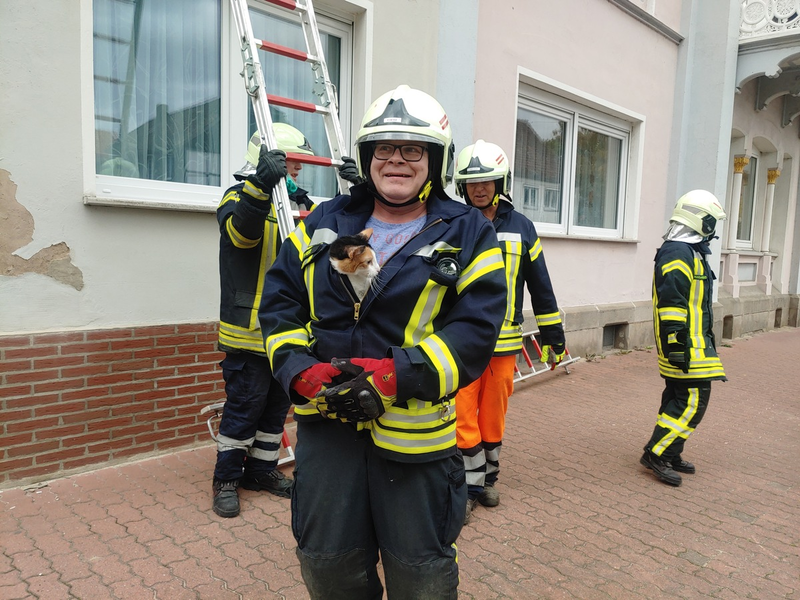 POL-PDLD: zugelaufene Katze - Foto: presseportal.de