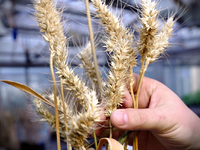 POL-PPRP: Wechsel in der Leitung des Führungsstabs im Polizeipräsidium Rheinpfalz - Foto: presseportal.de