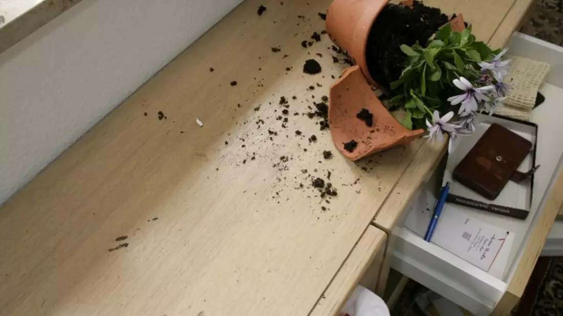 POL-PDNW: Einbruch in Einfamilienhaus - Bild: presseportal.de
