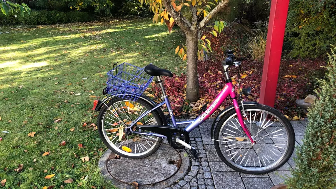 POL-MA: Weinheim/Rhein-Neckar-Kreis: Fahrrad aufgefunden - Eigentümer gesucht - Bild: presseportal.de