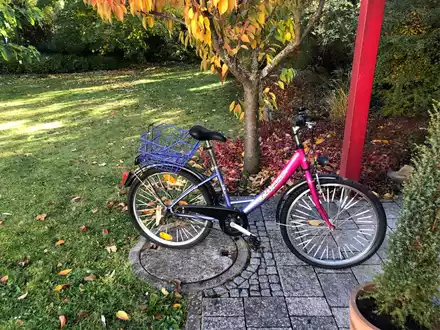 POL-MA: Weinheim/Rhein-Neckar-Kreis: Fahrrad aufgefunden - Eigentümer gesucht - Foto: presseportal.de