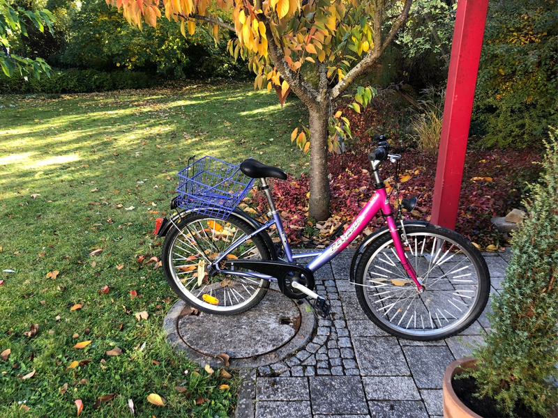 POL-NI: Fundrad am Weserufer(loh.) - Foto: presseportal.de