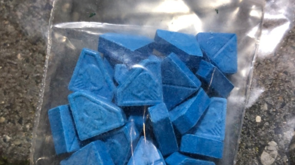 POL-MG: Handel mit Betäubungsmitteln: Zwei Tatverdächtige nach Durchsuchungen in U-Haft | mindestens 50 Kilogramm Drogen sichergestellt - Foto: presseportal.de