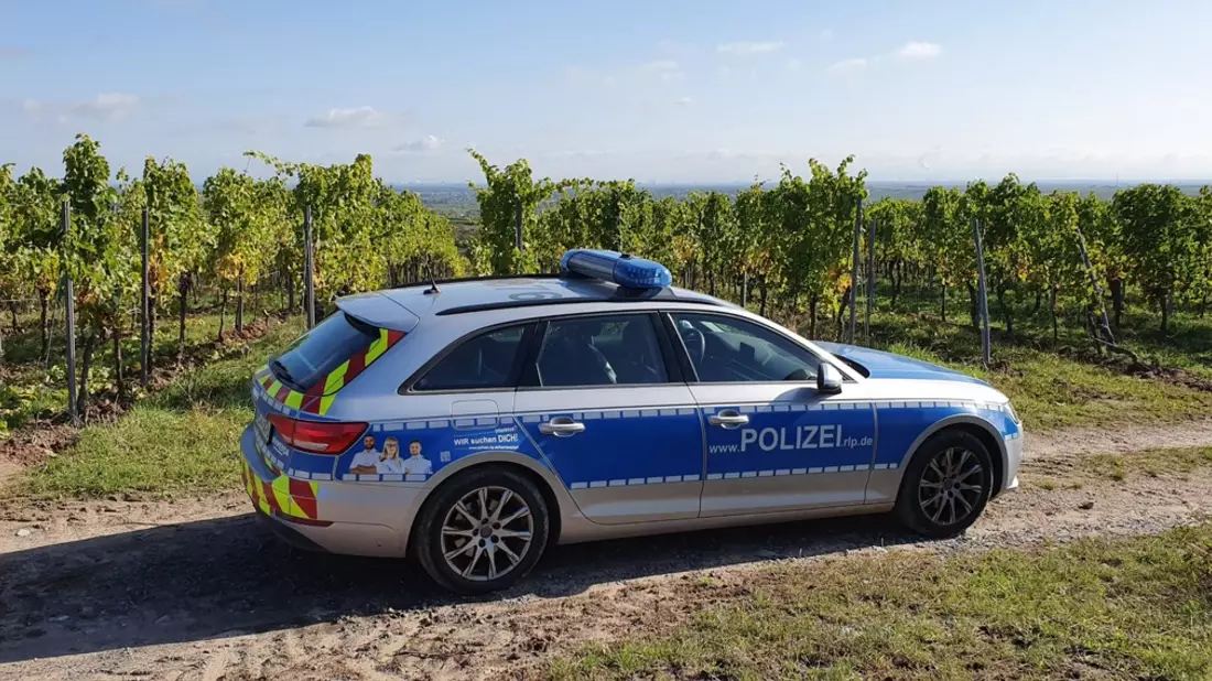 POL-PDNW: Verkehrsunfall mit einer leichtverletzten Person - Bild: presseportal.de