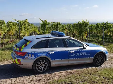 POL-PDNW: Verkehrsunfall mit leicht verletztem Radfahrer - Foto: presseportal.de