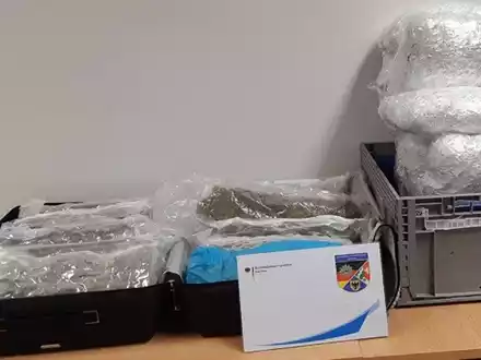 HZA-D: Düsseldorfer Zoll vernichtet 632 kg Marihuana - Foto: presseportal.de