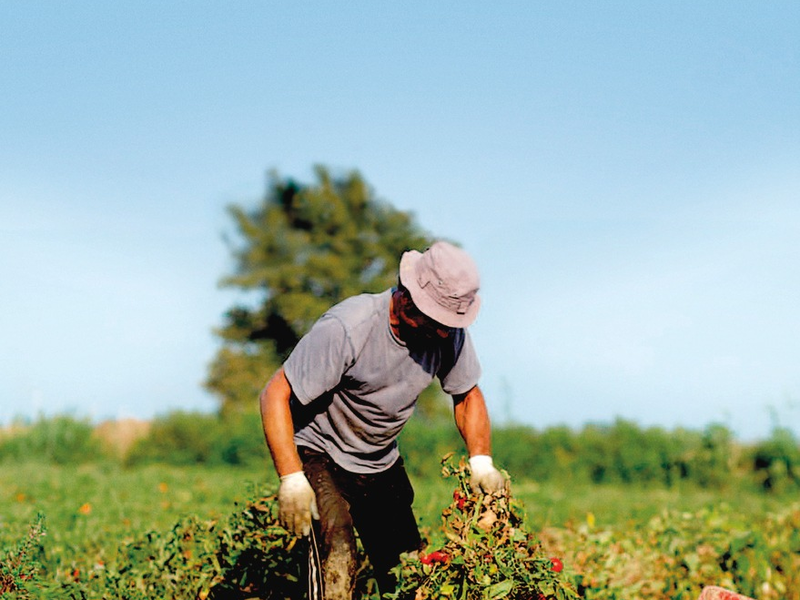 POL-HM: Motorradkontrollen im Bereich Lauenförde/ Meinbrexen - Foto: presseportal.de
