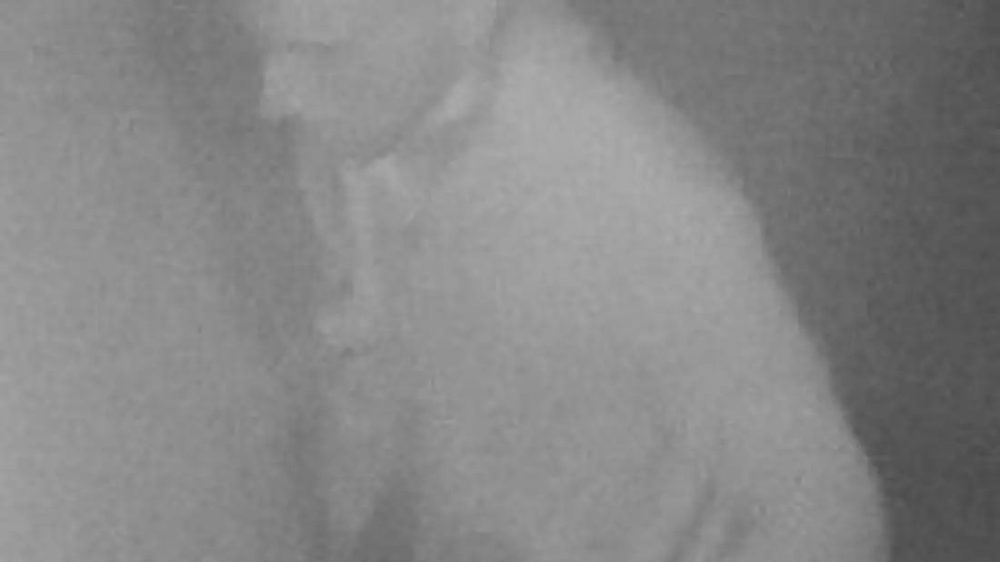 POL-HB: Nr.: 0662--Fahndungsaufruf: Polizei fahndet mit Fotos nach Täter-- - Bild: presseportal.de