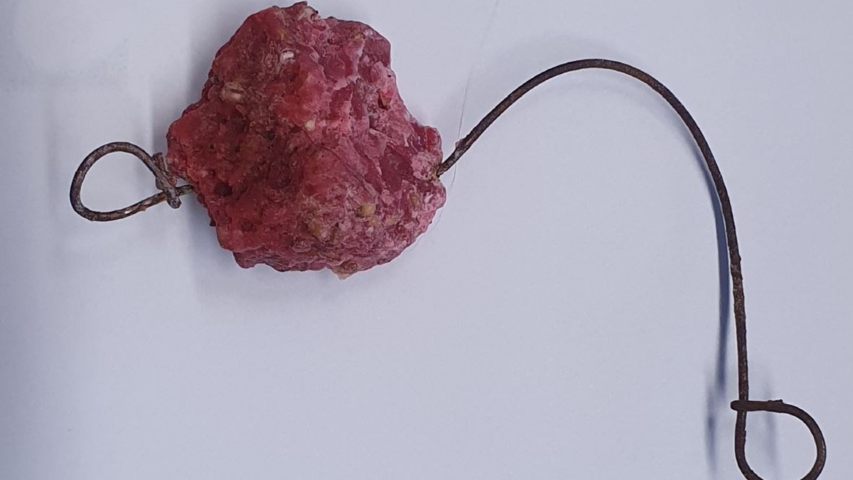 POL-SO: Klingenköder ausgelegt - Foto: presseportal.de