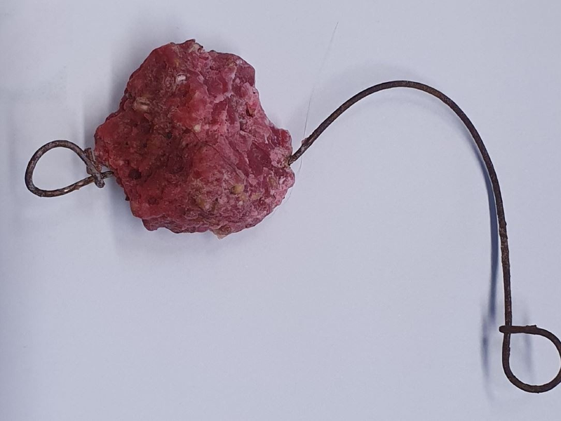 POL-SO: Klingenköder ausgelegt - Foto: presseportal.de