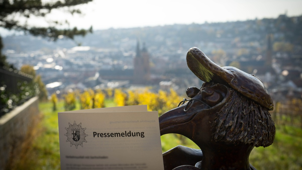 POL-PDNW: Diebstahl aus Handtasche - Foto: presseportal.de