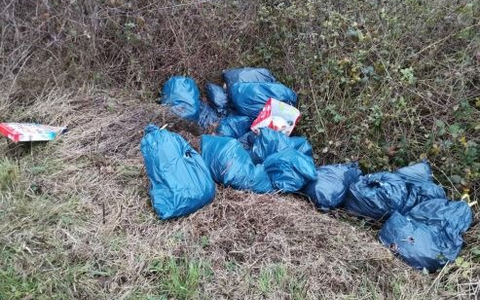 POL-SE: Elmshorn - Unbekannte entsorgen Altreifen, Ölgebinde und weitere Abfälle beim Kleingartenverein - Polizei benötigt Hinweise - Foto: presseportal.de