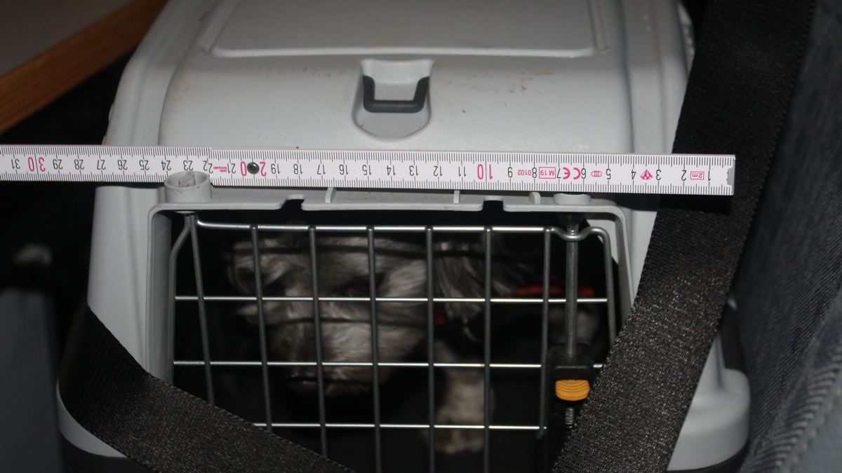 FW-BO: Brand einer Laube an der Tenthoffstraße - Foto: presseportal.de