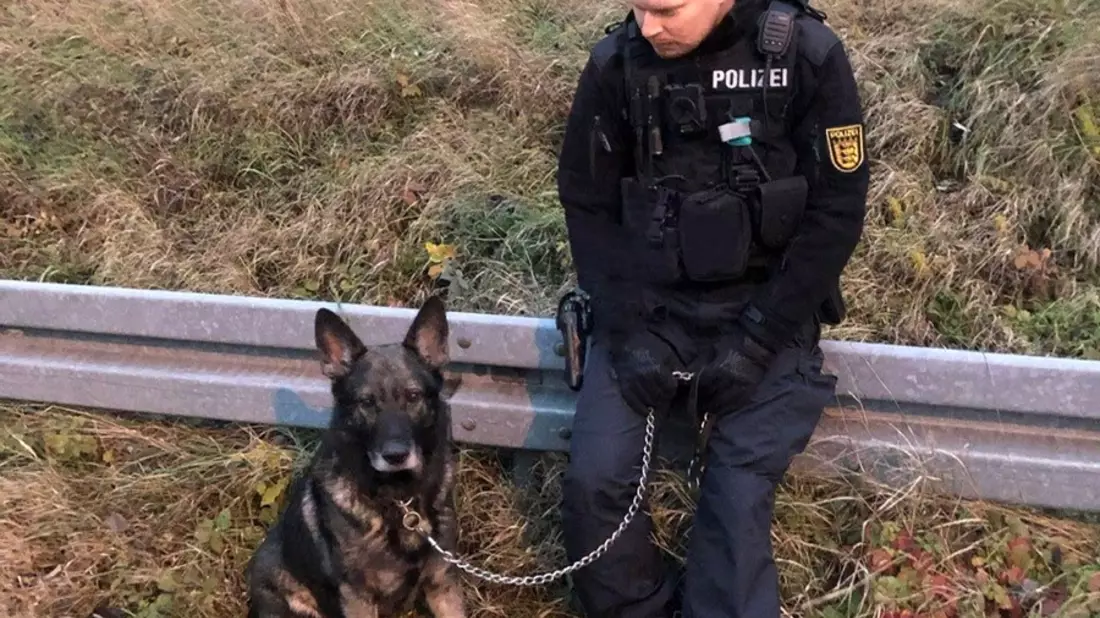 BPOLI MD: Hund getreten und Herrchen geschlagen: Bundespolizei sucht Tat-verdächtigen und benötigt die Hilfe der Bevölkerung - Bild: presseportal.de