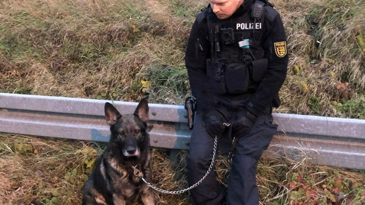 POL-PDLU: Römerberg - Hund vor Polizei geflüchtet, Halterin gesucht - Foto: presseportal.de