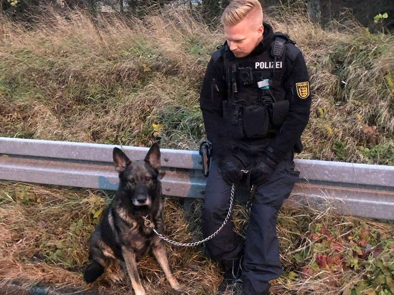 POL-PDLU: Römerberg - Hund vor Polizei geflüchtet, Halterin gesucht - Foto: presseportal.de
