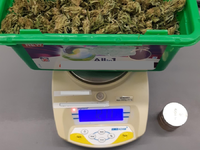 HZA-DO: Festnahmen bei der Kontrolle von Glasfaserarbeiten / Zoll beendet illegalen Aufenthalt und illegale Beschäftigung - Foto: presseportal.de