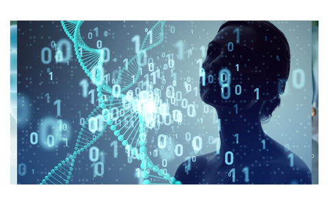 POL-DA: Michelstadt: Präventionskampagne Crashkurs am Gymnasium - Foto: presseportal.de