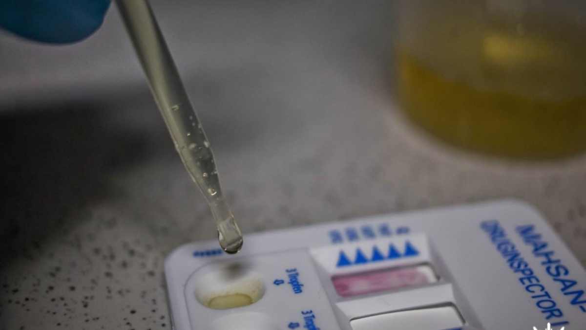 POL-PDLU: Bobenheim Roxheim - Verkehrsunfall unter Einfluss von Amphetamin - Foto: presseportal.de