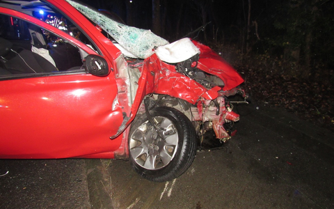 HDP-RP: Von Spurensuche bis Einsatztraining: Erfolgreiche sechste Blue-Light-Challenge an der Hochschule der Polizei Rheinland-Pfalz - Foto: presseportal.de