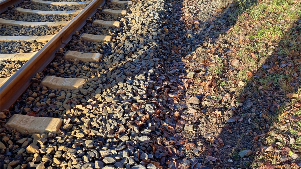 POL-PPWP: Fahrradfahrer verursacht Unfall und haut ab - Foto: presseportal.de