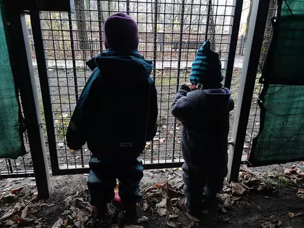 Kinder hinter einem Gitter - Foto: ?ber dts Nachrichtenagentur