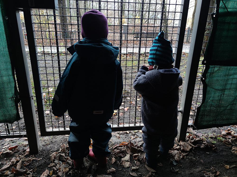 Kinder hinter einem Gitter - Foto: ?ber dts Nachrichtenagentur