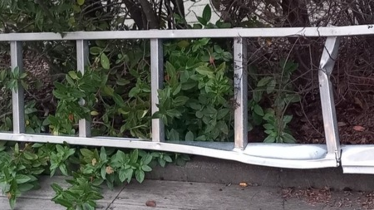 POL-EL: Nordhorn - E-Bikes gestohlen (Ergänzung mit Fotos) - Foto: presseportal.de