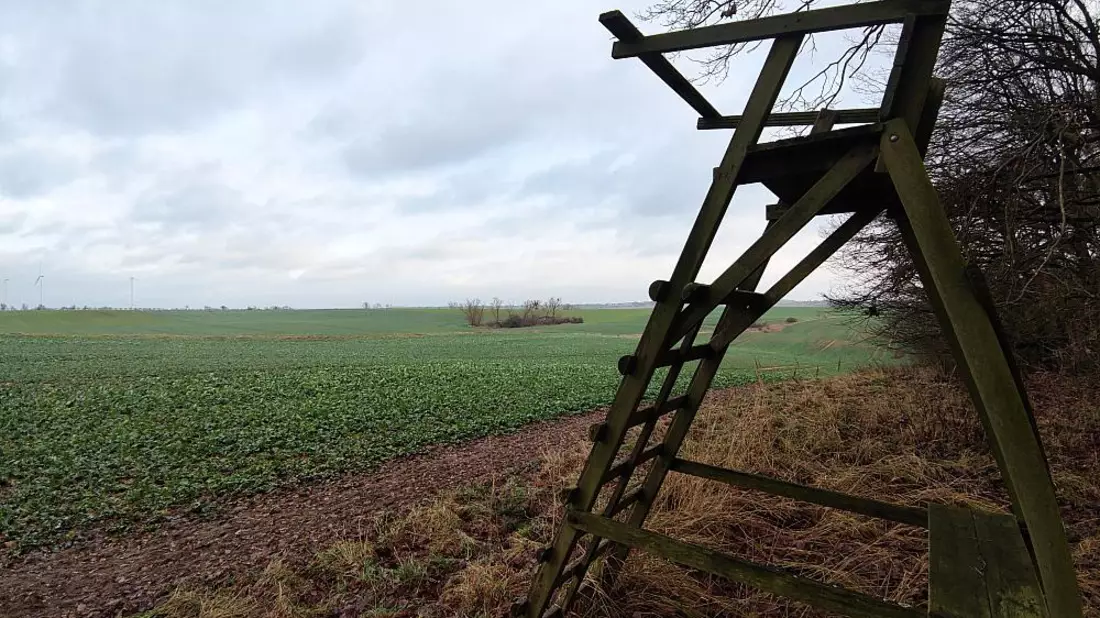 Jägersitz - Bild: ?ber dts Nachrichtenagentur