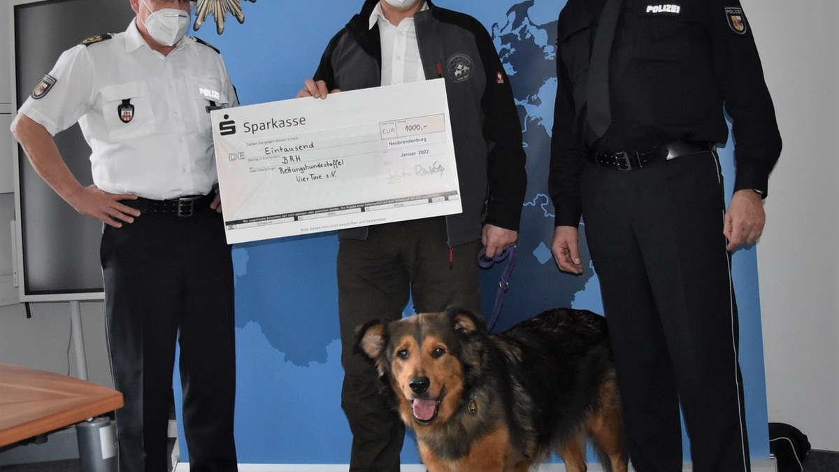 POL-NI: Hoya/Hilgermissen - Verkehrsunfall nach Ausweichmanöver - Foto: presseportal.de