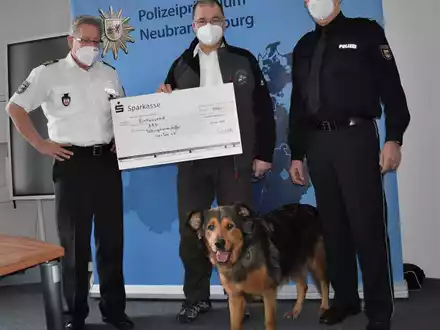 POL-NI: Hoya/Hilgermissen - Verkehrsunfall nach Ausweichmanöver - Foto: presseportal.de