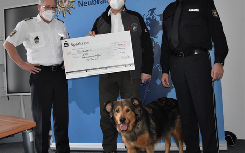 POL-NI: Hoya/Hilgermissen - Verkehrsunfall nach Ausweichmanöver - Foto: presseportal.de