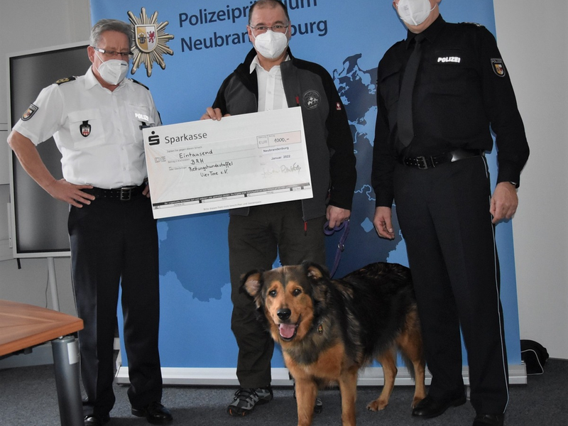 POL-NI: Hoya/Hilgermissen - Verkehrsunfall nach Ausweichmanöver - Foto: presseportal.de