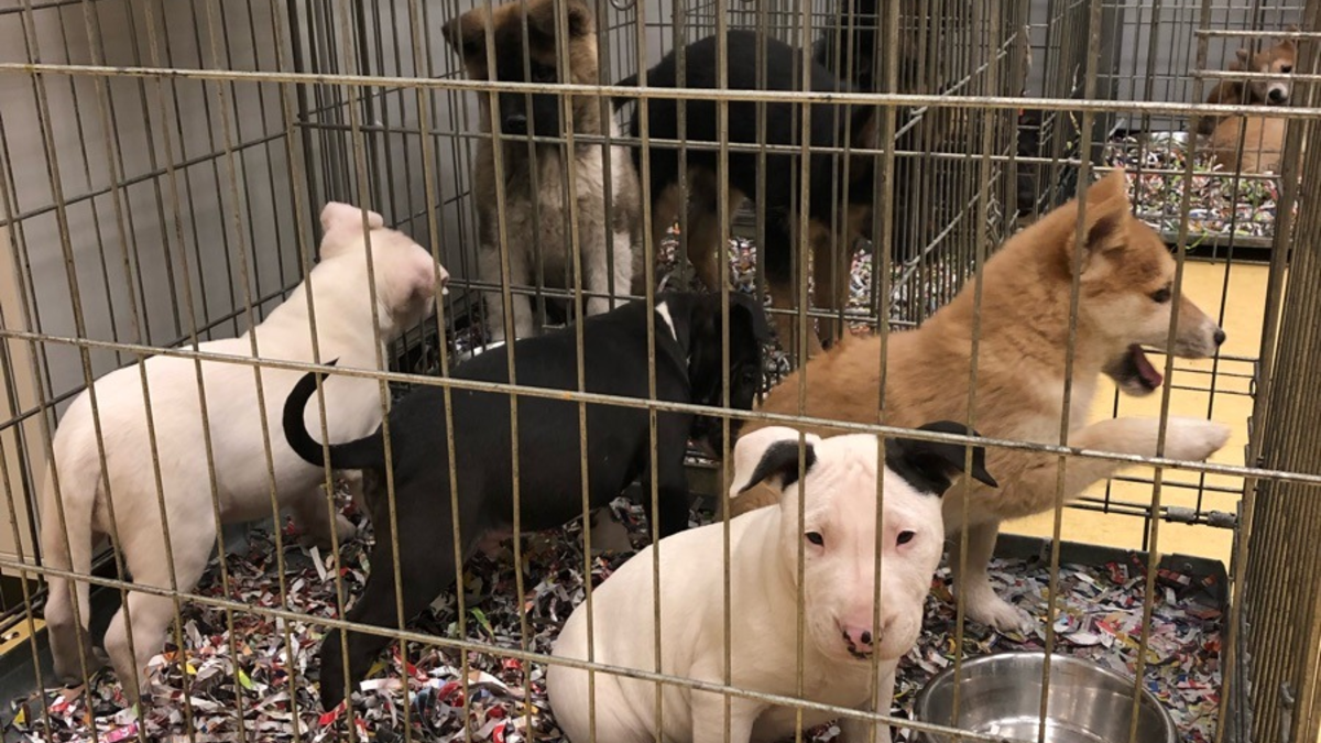 Reskuh: Nachhaltige Landwirtschaft im Zeichen des Klimawandels - Foto: presseportal.de