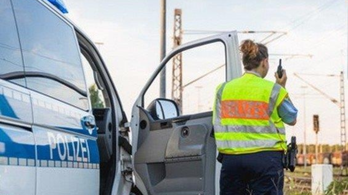 BPOL-KS: Verirrtes Schaf von Zug getötet - Foto: presseportal.de