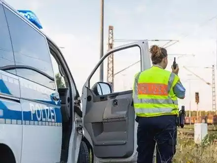 BPOL-KS: Verirrtes Schaf von Zug getötet - Foto: presseportal.de